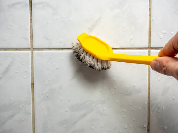 Best Office Mold Removal Services  in Bedford Heights, OH