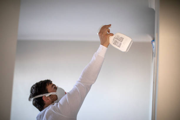 Best Certified Mold Removal  in Bedford Heights, OH